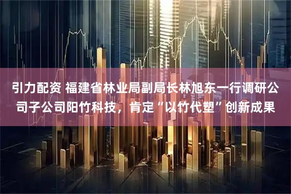 引力配资 福建省林业局副局长林旭东一行调研公司子公司阳竹科技，肯定“以竹代塑”创新成果
