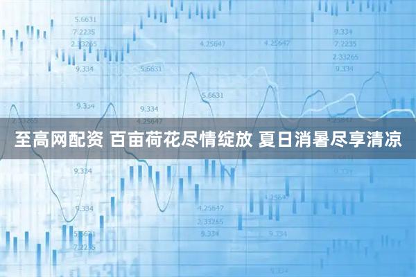 至高网配资 百亩荷花尽情绽放 夏日消暑尽享清凉