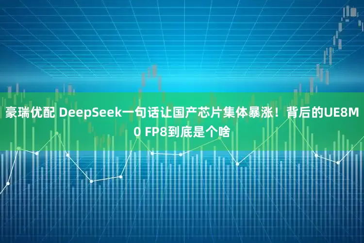 豪瑞优配 DeepSeek一句话让国产芯片集体暴涨！背后的UE8M0 FP8到底是个啥